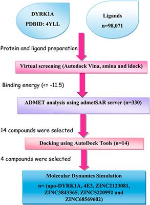 Disruption of DYRK1A-induced hyperphosphorylation of amyloid-beta and tau protein in Alzheimer’s disease: An integrative molecular modeling approach